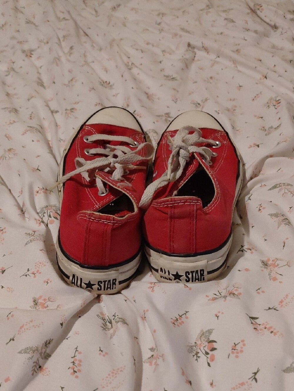 Size 6.5 Classic Red Low-Top Canvas Sneakers (Converse) with White Laces - Picture 4 of 5